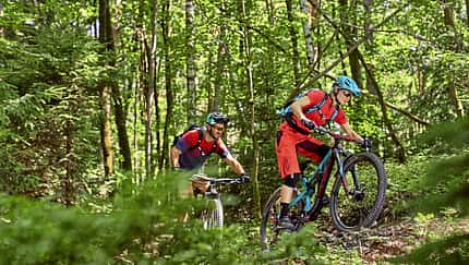 Trailguide Fränkische Schweiz: Frankenbike-Trails