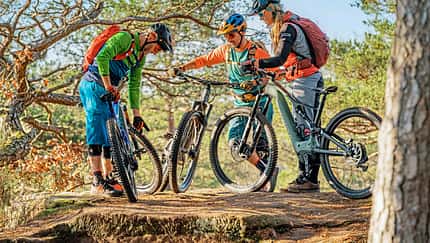 Welches E-MTB dominiert 2020?