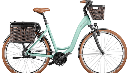 ELEKTROBIKE Katalog 2020
