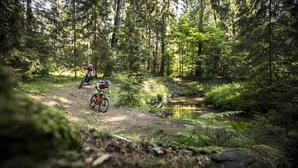 Die besten Trails rund um Nürnberg - Schmausenbuck