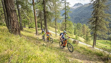Die besten Trails rund um Scuol - Ramosch Sent Route