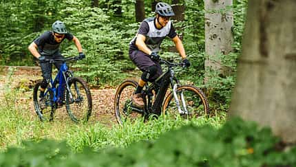 Versender E-Bikes 2020