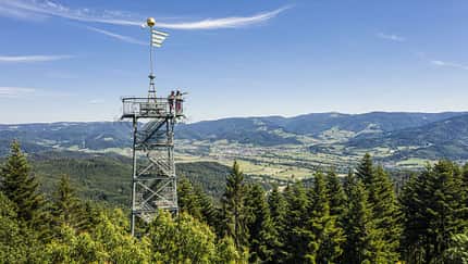 Trailguide Freiburg