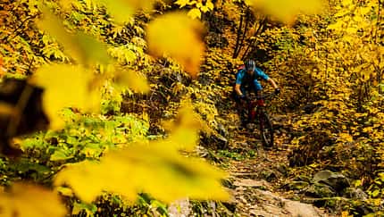 Ratgeber Herbst
