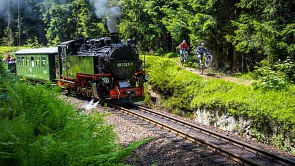 MTB-Touren im Erzgebirge