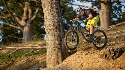 Giant Trance X 29 Advanced Pro 0 