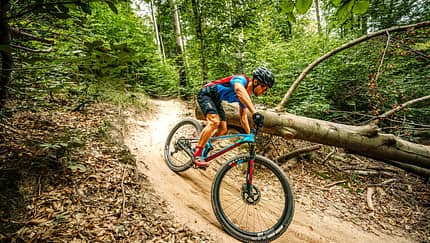Downcountrybikes