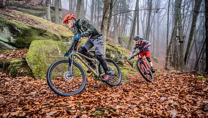 Hardtail-Test 2021
