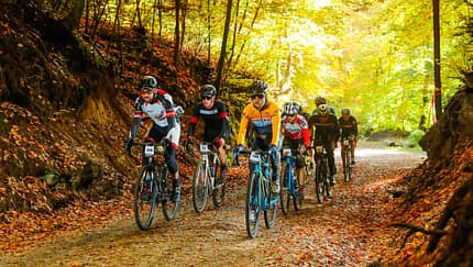 Tortour Gravel