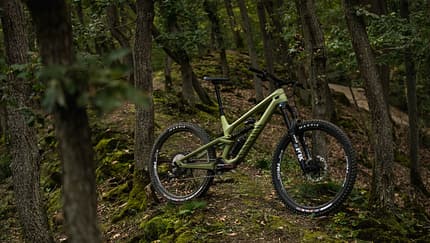Canyon Torque (2022) 