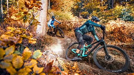 All-Mountain-Biketest 01/2022