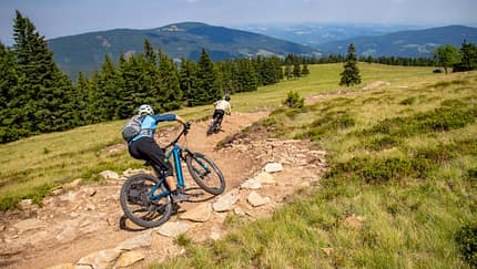 Austria Radspecial: Wienerwald-Trails & Wexl-Trails
