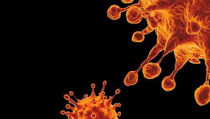 SARS-CoV-2 Coronavirus Variant Omicron B.1.1.529