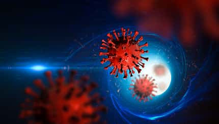 Viruses