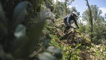 Canyon Torque:ON Modell 2023