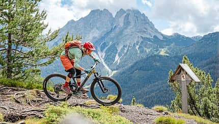 King of the Alps