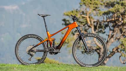 Light-E-MTBs