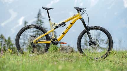 Light-E-MTBs