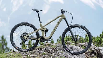 Light-E-MTBs