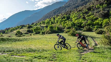 Light-E-MTBs