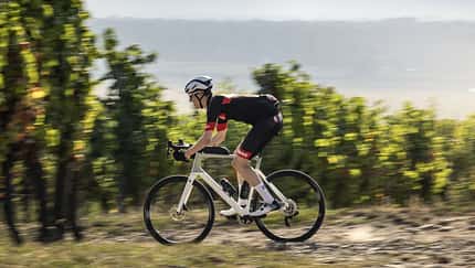 Das neue Focus Paralane Endurance-Rennrad 2024