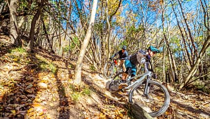 All-Mountain-Test