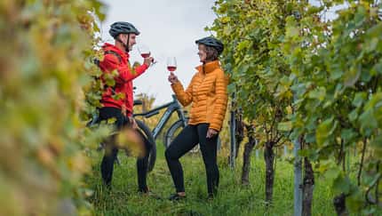 Fahrradfahren im Elsass