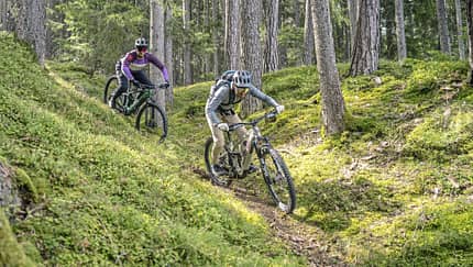 Getestet: So gut sind E-MTBs mit dem neuen Bosch
