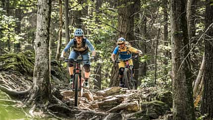 MTB-Wochenende in Freiburg: das Paradies für Mountainbiker