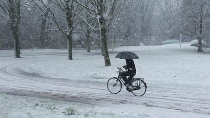 Studie: Alleinunfälle Fahrrad 