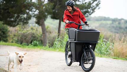 E-Bike leasen oder kaufen 