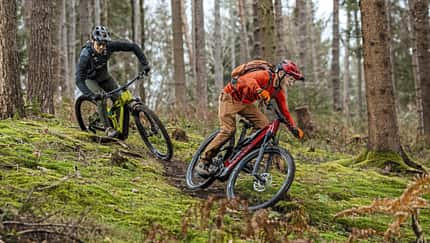 Günstige Bikes, große Performance?