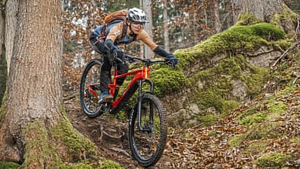 Preiswerter Einsteiger von Giant