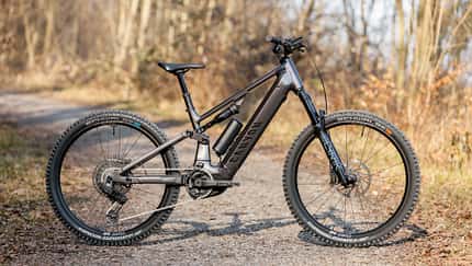Canyon Neuron:On Alu