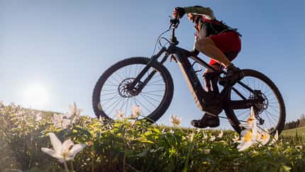Preissteigerung E-Bike 2026 