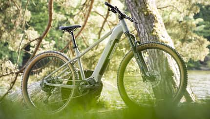 Preiswertes E-Hardtail aus dem Supermarkt im Test!