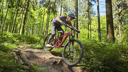 Treuer Begleiter für Trail-Fans