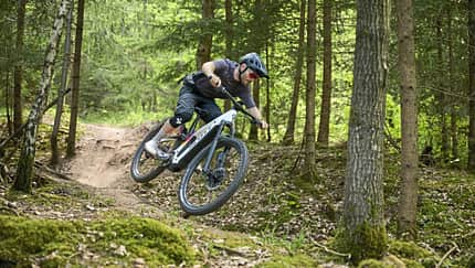 Patron der Trails?