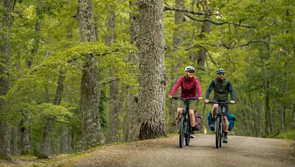 Bosch Neuheiten Eurobike 2025!