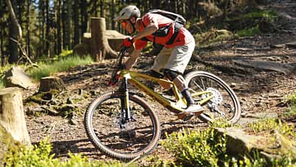 All-Mountain zum Top-Preis
