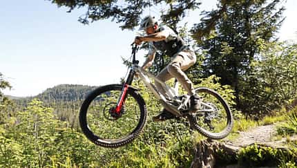 Freeride-Revival