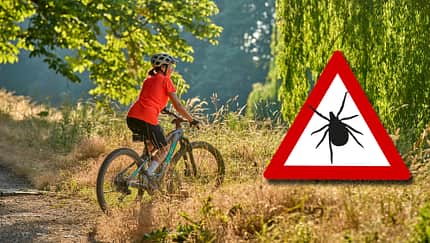 Zeckengefahr beim Radfahren