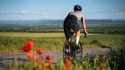 Rear view of Road cyclist on the road.