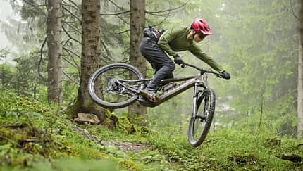 Neuer Motor, bekannte Gene