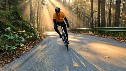 Cyclist rides down a forest road on a sunny day