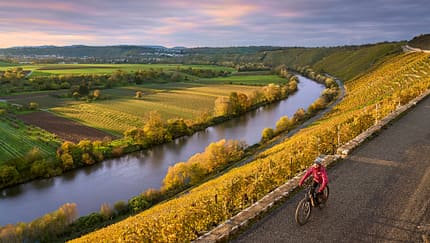 Nette ältere Dame, die mit ihrem elektrischen Mountainbike durch die steilen, herbstlich gefärbten Weinberge des Neckartals fährt.