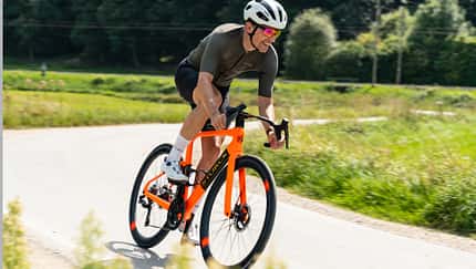 Storck Fascenario,Action Storck Fascenario,Action