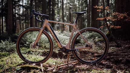 KTM Gravelator SX10,E-Gravelbike,Test,Seitensicht im Wald