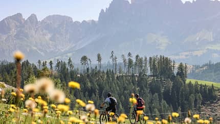 Südtirol,Bergpanorama,Blühende Wiese