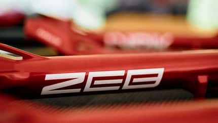 RS Zeb